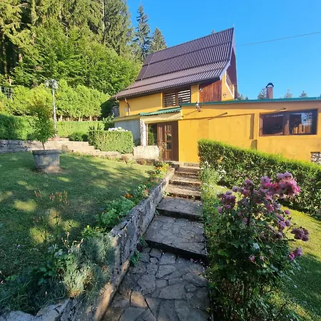 Dom wakacyjny Forest *