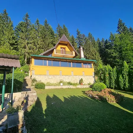 Forest Semesterbostad Vlasic